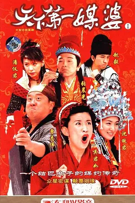 天下第一媒婆 (2006) 第29集